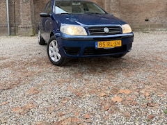 Fiat Punto - 1.2 Young