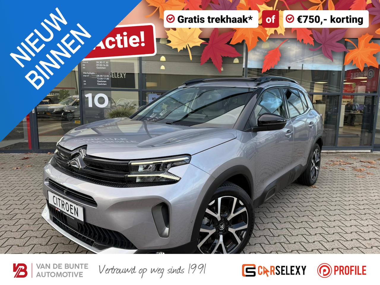Citroën C5 Aircross - 1.2 PureTech Shine *Panorama Schuifdak* - AutoWereld.nl