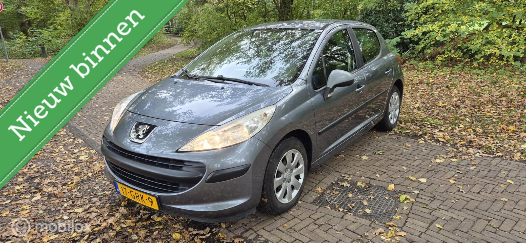 Peugeot 207 - 1.4 Cool 'n Blue 1.4 Cool 'n Blue - AutoWereld.nl