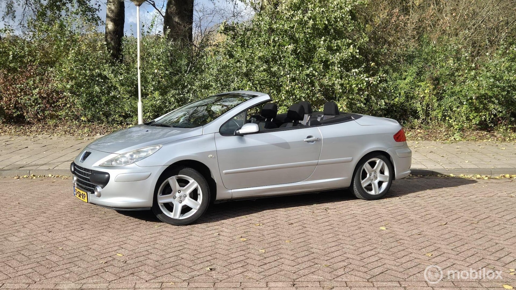 Peugeot 307 CC - 2.0-16V automaat - AutoWereld.nl