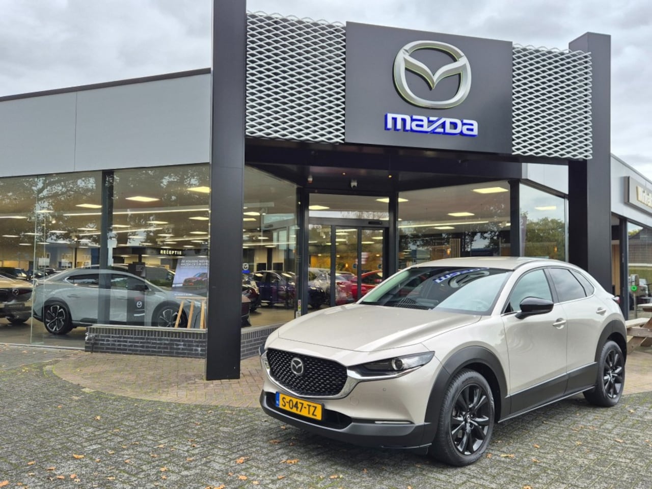 Mazda CX-30 - E-SKYACTIV-X 186 6AT HOMURA / Trekhaak - AutoWereld.nl