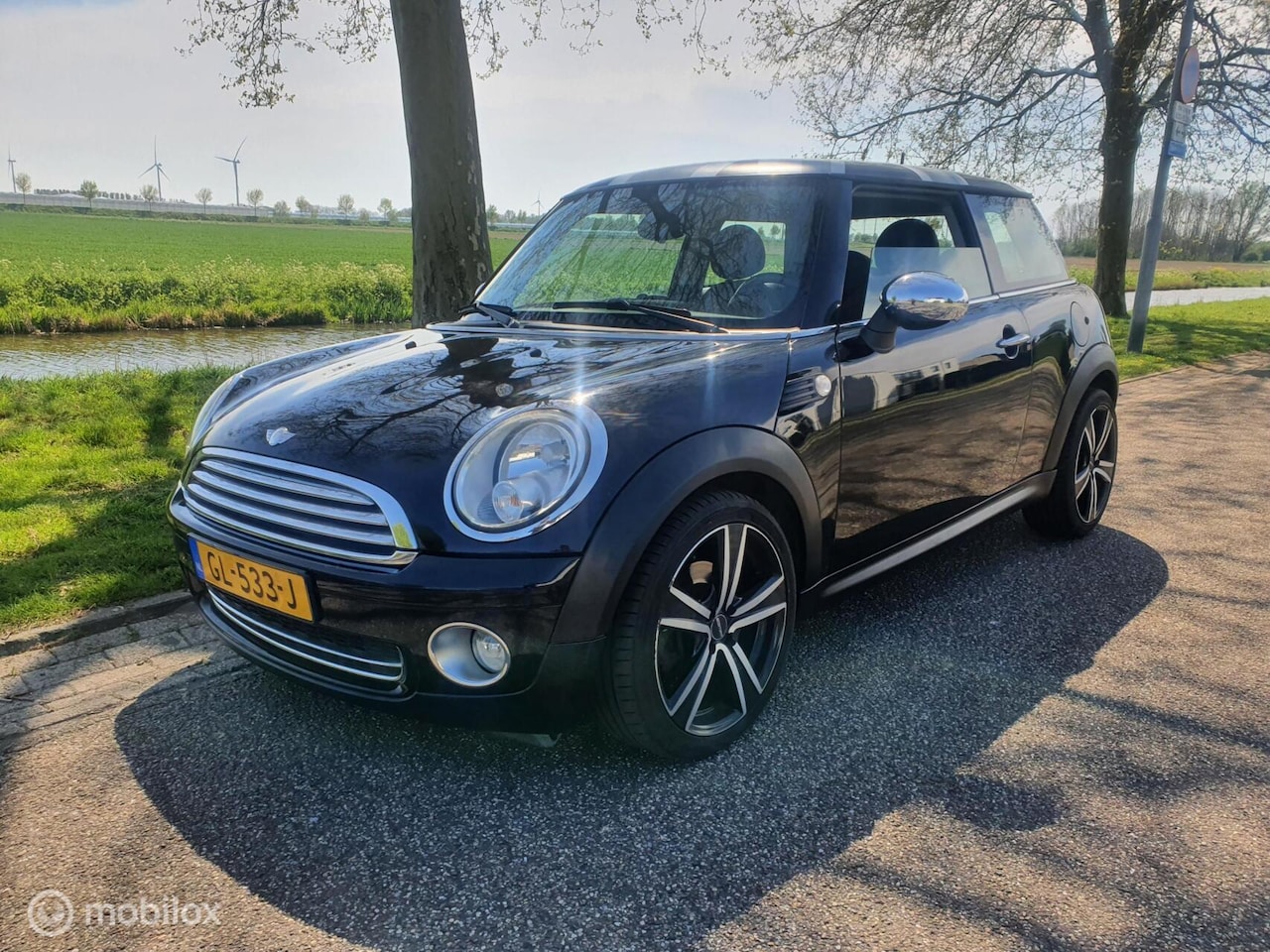 MINI MINI
