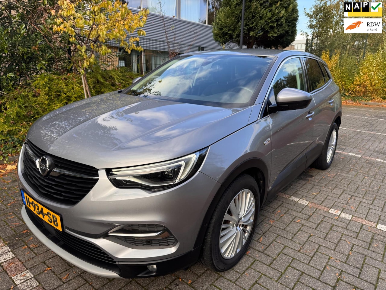 Opel Grandland X - 1.2 Turbo Business Executive / Keyless / camera / - AutoWereld.nl