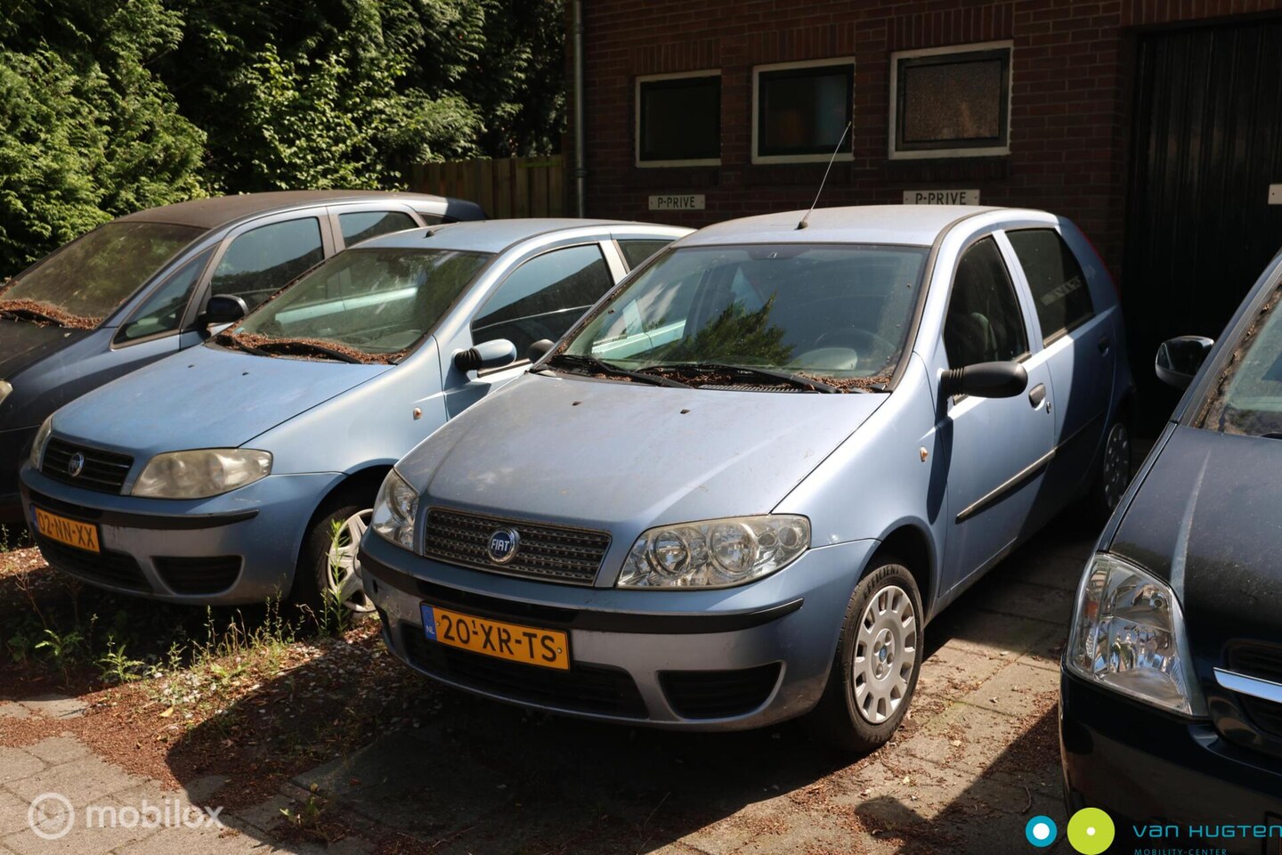 Fiat Punto - 1.2 Classic Edizione Cool 1.2 Classic Edizione Cool - AutoWereld.nl
