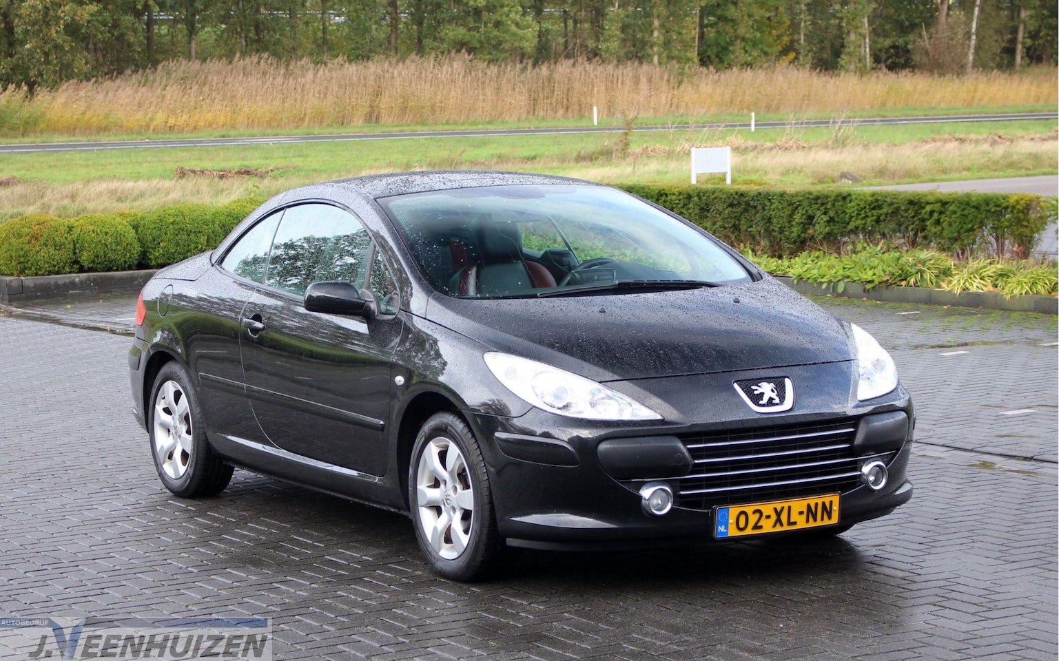 Peugeot 307 CC - 2.0-16V | 2007 | Cabrio | Stoelverwarming | - AutoWereld.nl