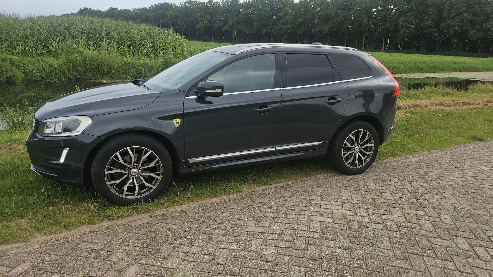 Volvo XC60 - volvo xc60  d5 awd  grijs kenteken - AutoWereld.nl
