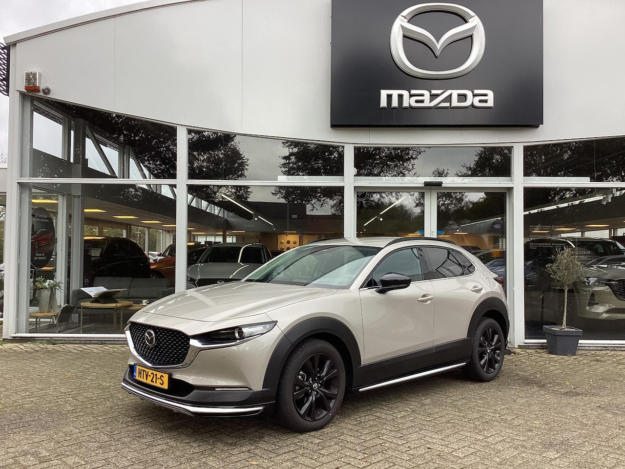 Mazda CX-30 - 2.0 e-SkyActiv-X M Hybrid Homura 186 PK motor / Aeropakket / Roofrails / Dorpelbeschermers - AutoWereld.nl