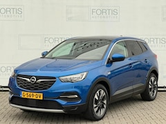 Opel Grandland X - 1.2 Turbo Business Executive NL AUTO | CAMERA | CARPLAY |