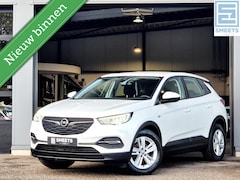 Opel Grandland X - 1.2 Turbo Business Ed. |Navi|Carp|LED|Clima