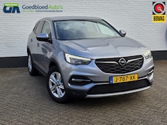 Opel Grandland X - 130 PK Turbo Business Executive | Stoel/Stuurverwarming | Comfor