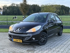 Peugeot 206 - 1.1 Accent airco, nieuwe APK, nette staat