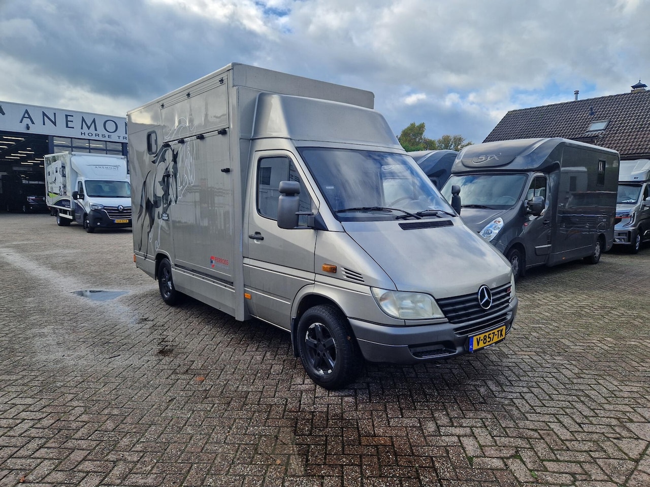 Mercedes-Benz Sprinter - Occasion meeneemprijs paardenwagen automaat voor 2 paarden - AutoWereld.nl