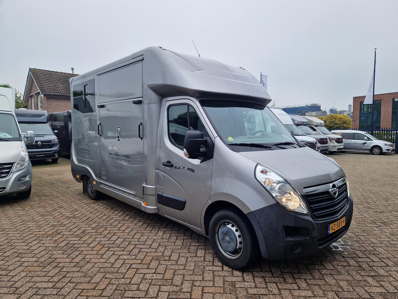 Opel Movano - Nette paardenwagen, lage kilomerstand, aparte zadelkamer - AutoWereld.nl