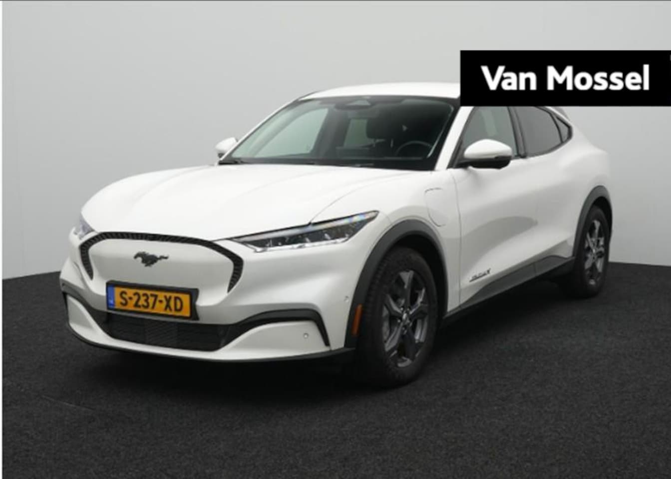 Ford Mustang Mach-E - Extended RWD 98 kWh - AutoWereld.nl