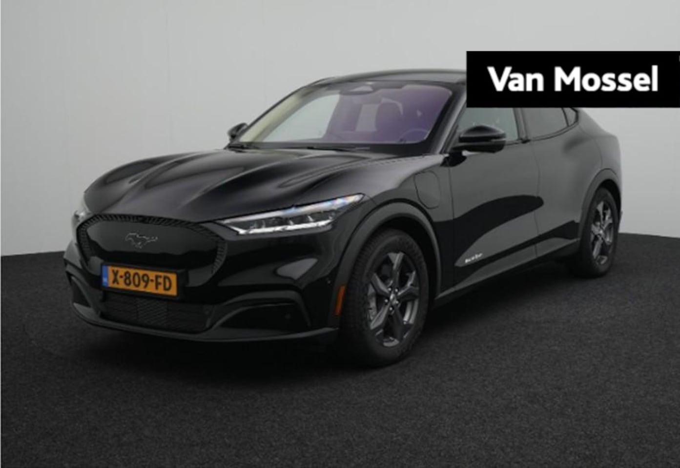 Ford Mustang Mach-E - RWD 75 kWh - AutoWereld.nl
