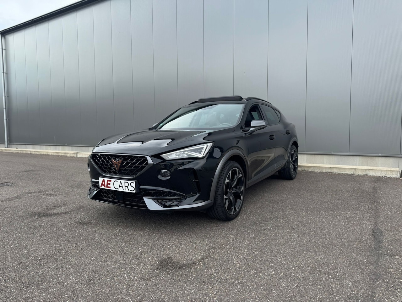 CUPRA Formentor - 2.0 TSI 4DRIVE Pano Leer Cam Led - AutoWereld.nl
