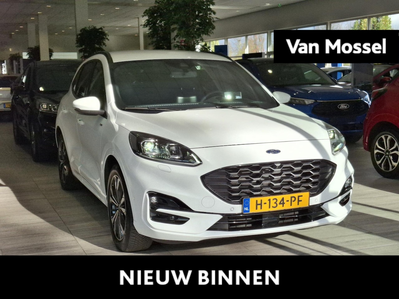 Ford Kuga - 2.5 PHEV ST-Line X | Camera voor/ achter | HUD | ACC | Apple CarPlay | Keyless | Voorstoel - AutoWereld.nl