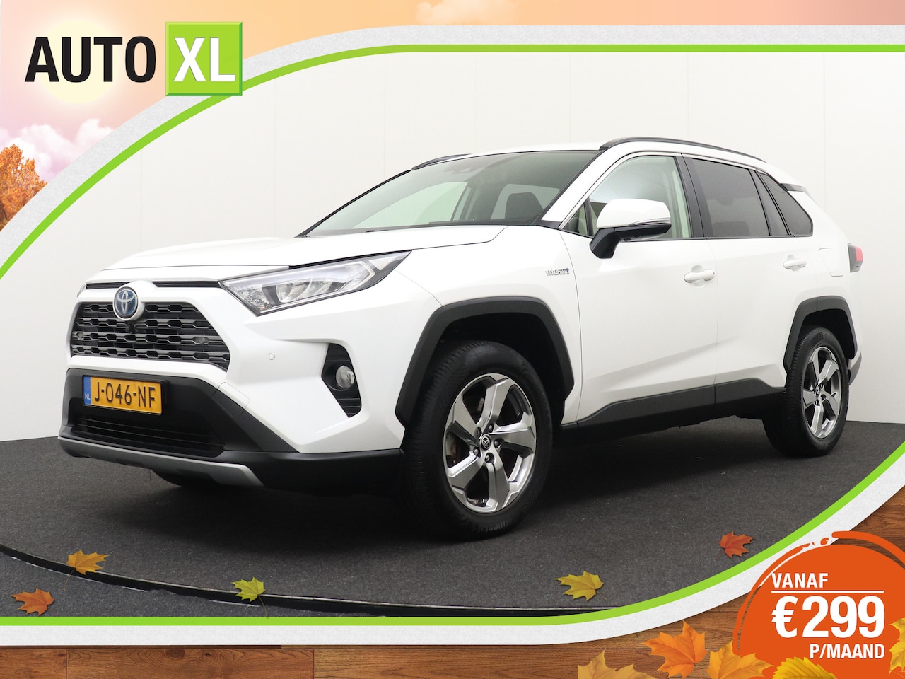 Toyota RAV4 - 2.5 Hybrid Dynamic 360*Camera Dodehoek Adapt.Cruise 18'LMV - AutoWereld.nl