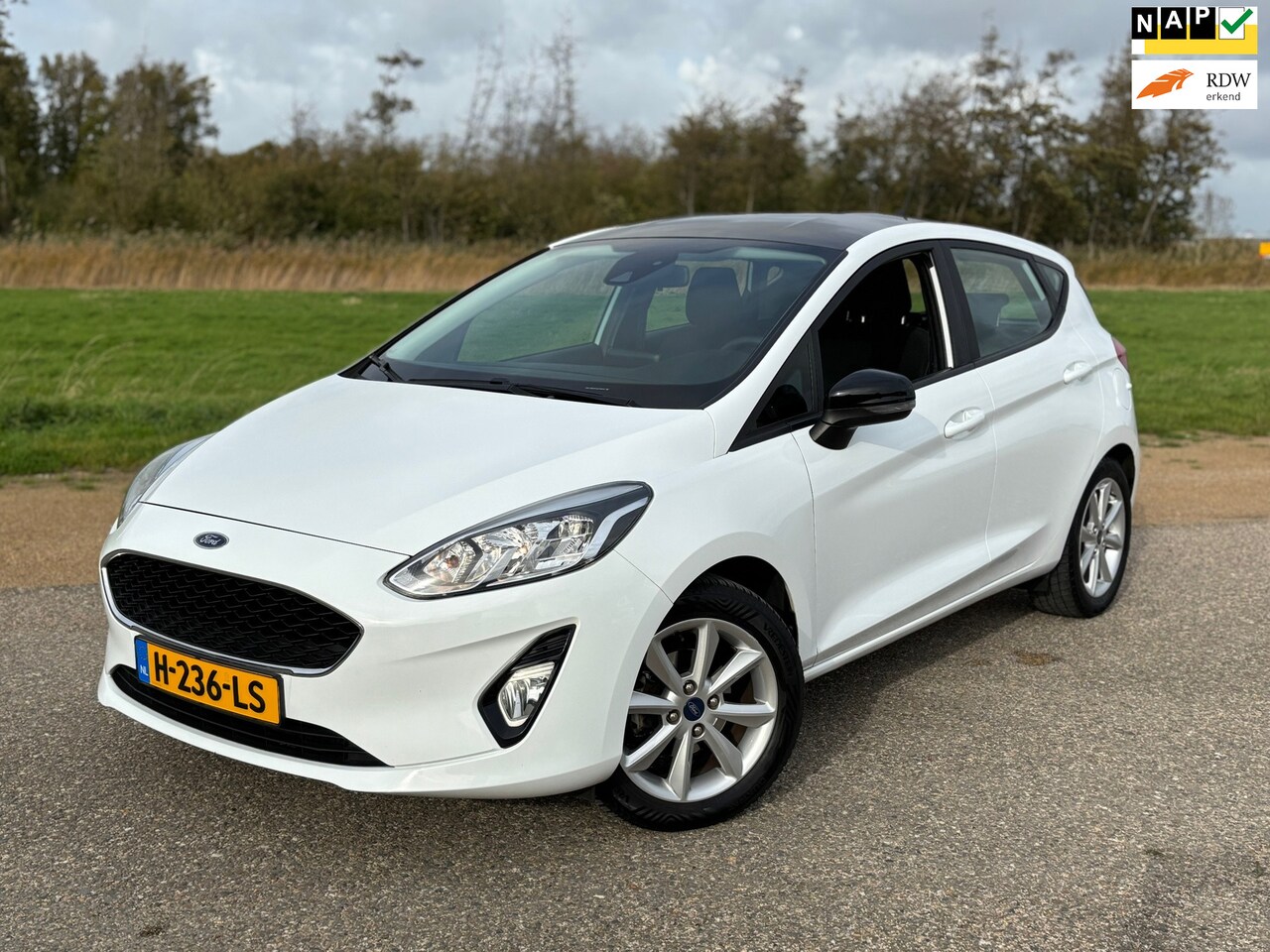 Ford Fiesta - 1.0 EcoBoost Connected/Navi/Pdc/Acc - AutoWereld.nl
