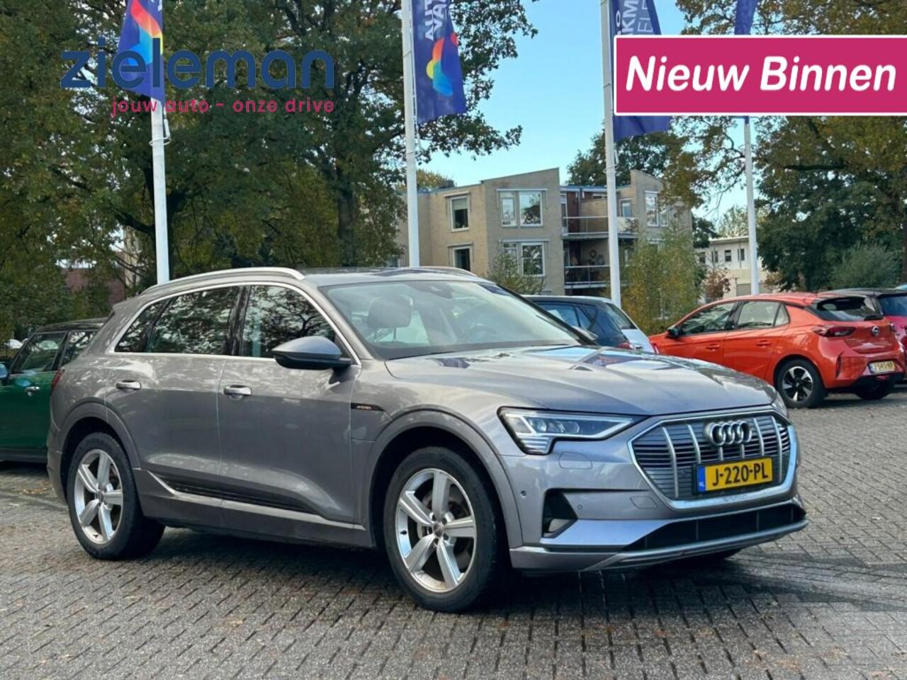 Audi e-tron - 50 quattro Business edition 71 kWh - Carplay, Navi, Camera, Cruise, Clima - AutoWereld.nl