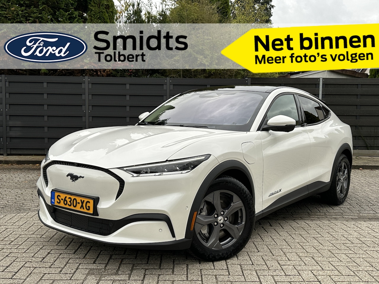 Ford Mustang Mach-E - Extended RWD 98 kWh | Winter Pack | Adapt. Cruise | Pano | B&O | Elek. Klep | 360° Camera - AutoWereld.nl