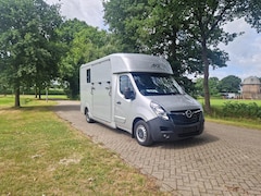 Opel Movano - Occasion paardenwagen AKX Movano hengsten uitvoering