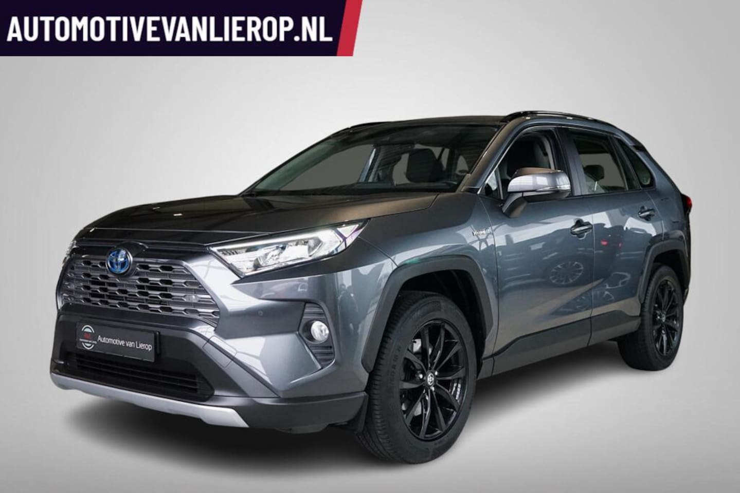 Toyota RAV4 - 2.5 Hybrid AWD | TREKHAAK | 18'' LMV | CAMERA - AutoWereld.nl