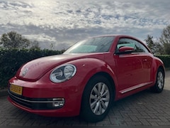Volkswagen Beetle - 1.2 TSI Design BlueMotion / 2016