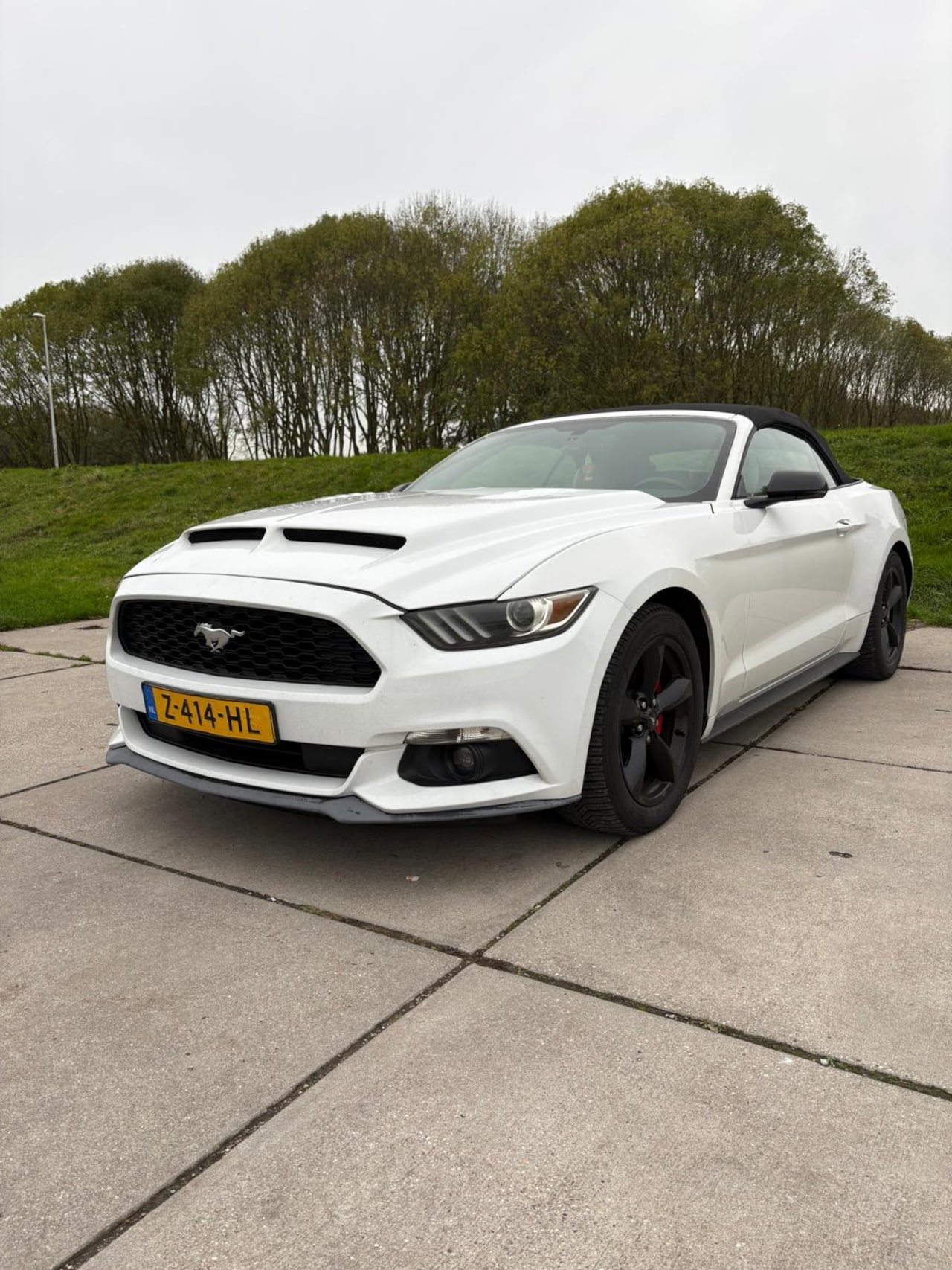 Ford Mustang Convertible - california special 2.3 ecobo zeer mooi full option - AutoWereld.nl