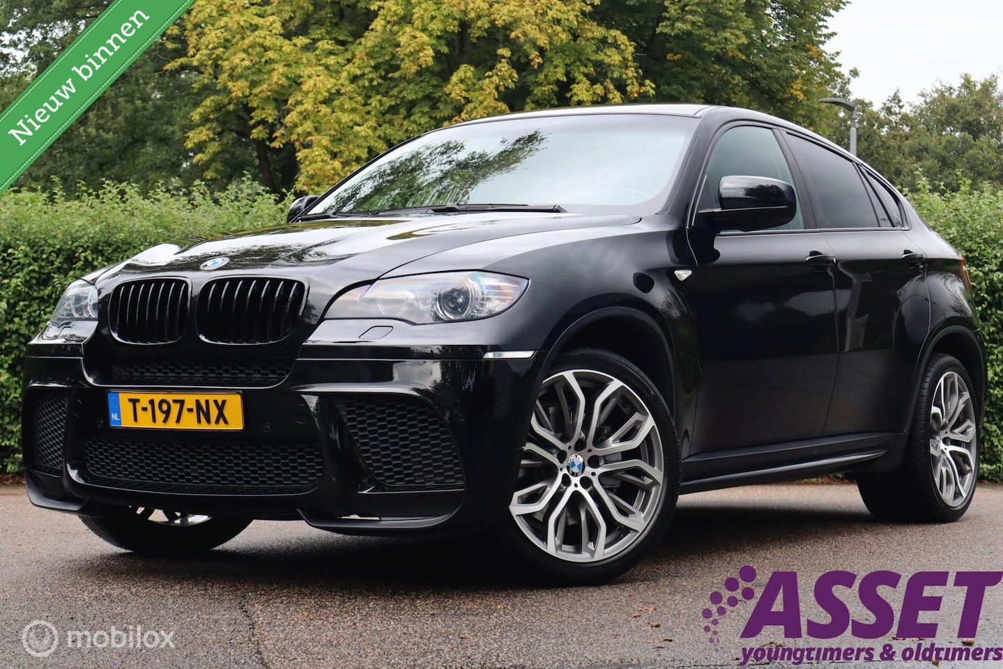 BMW X6 - xDrive50i High Executive - AutoWereld.nl