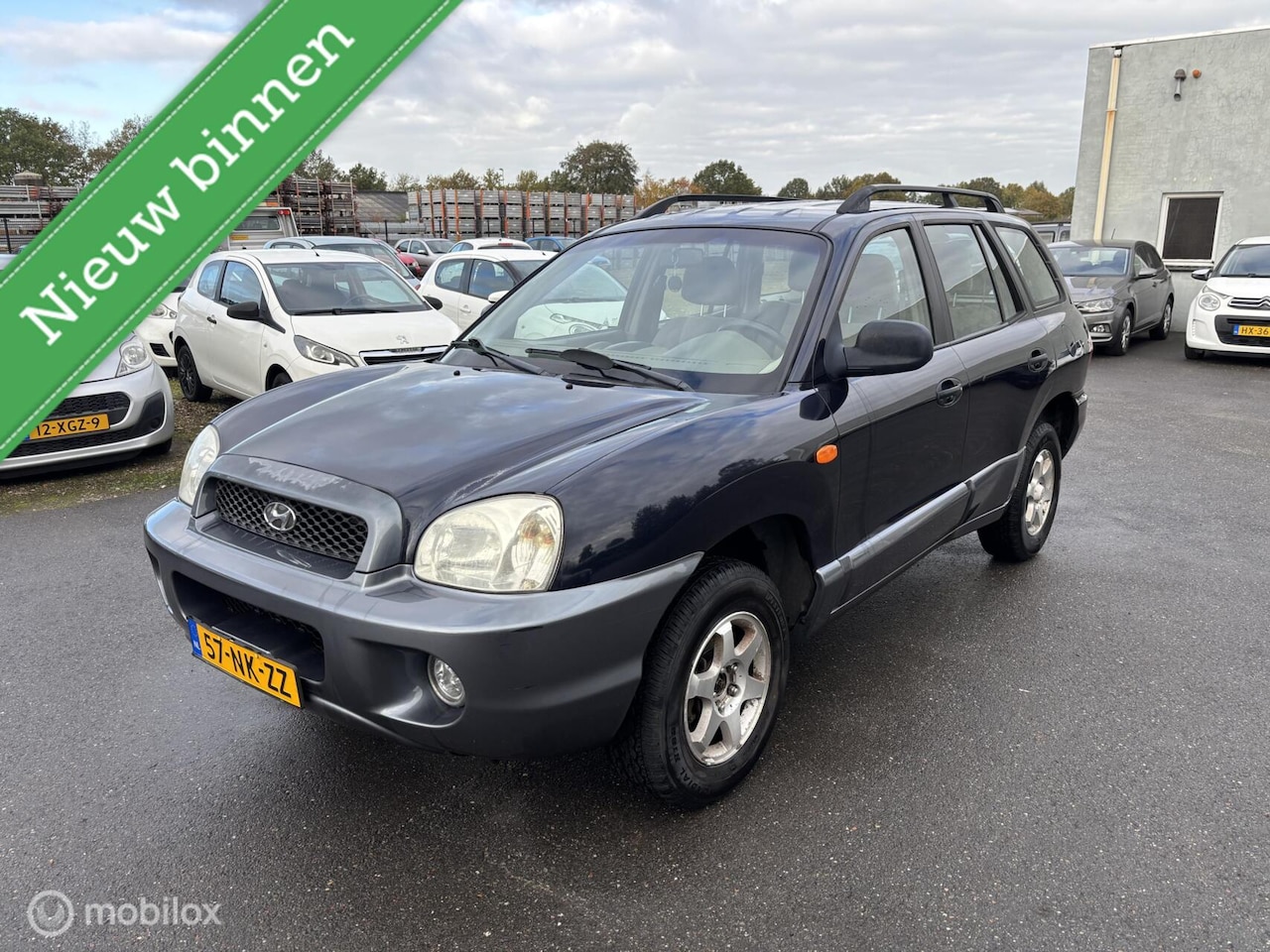 Hyundai Santa Fe - 2.0i-16V 2003 rijd goed - AutoWereld.nl