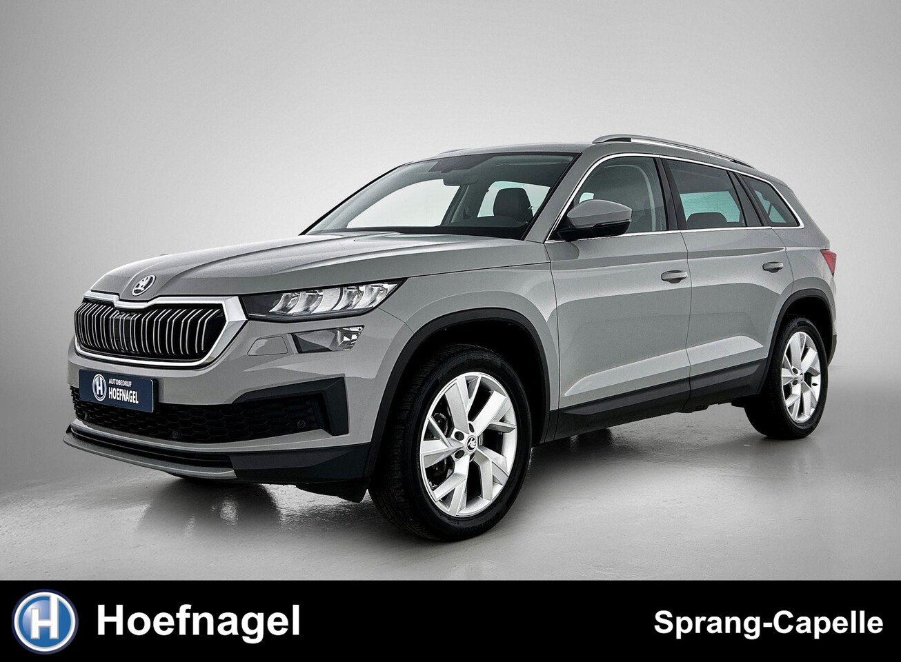 Skoda Kodiaq - 1.5 TSI Business Edition 7p. | Trekhaak | Adaptive Cruise | Camera | - AutoWereld.nl
