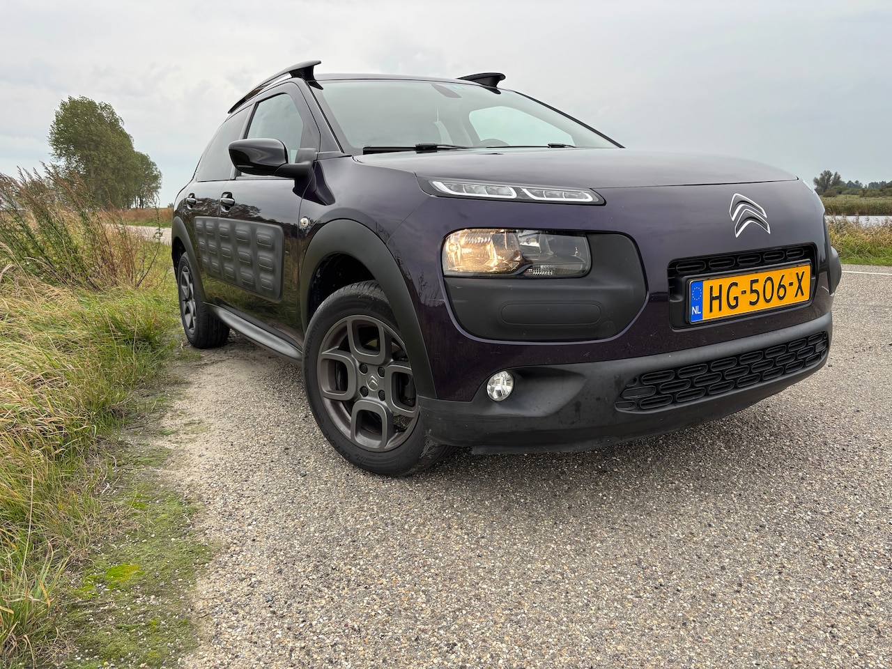 Citroën C4 Cactus - 1.2 PureTech Shine - AutoWereld.nl