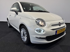 Fiat 500 - 1.0 Hybr. Lounge Parelmoer metalic