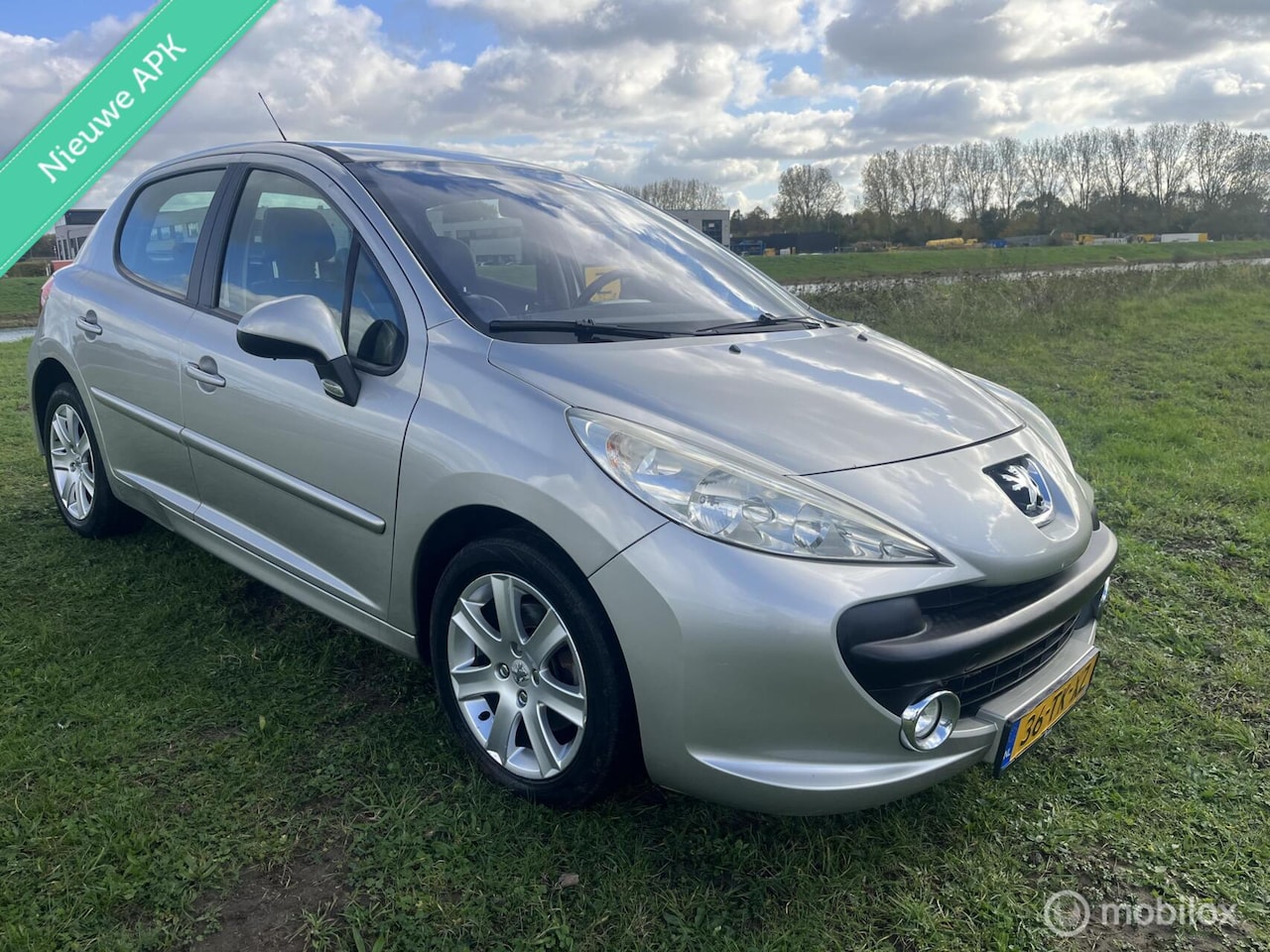 Peugeot 207 - 1.6-16V XS Pack 1.6-16V XS Pack - AutoWereld.nl