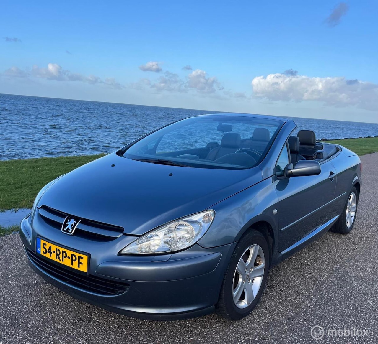 Peugeot 307 CC - 1.6-16V 1.6-16V - AutoWereld.nl