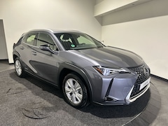 Lexus UX - 250h Business Line | Adaptieve cruise control | Achteruitrijcamera | Hybrid