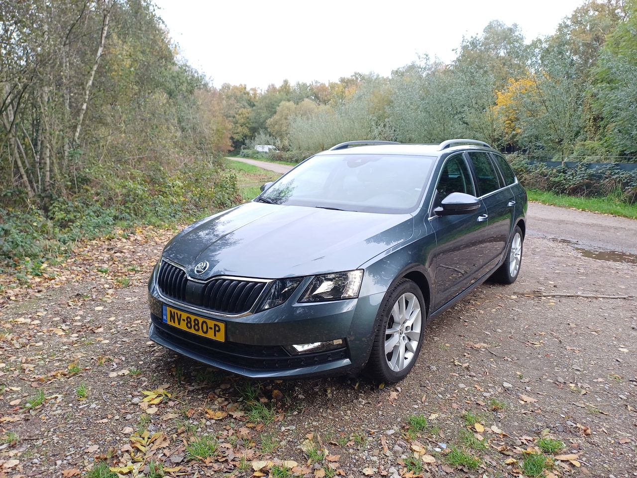 Skoda Octavia Combi - 1.0 TSI Greentech Ambition Business - AutoWereld.nl