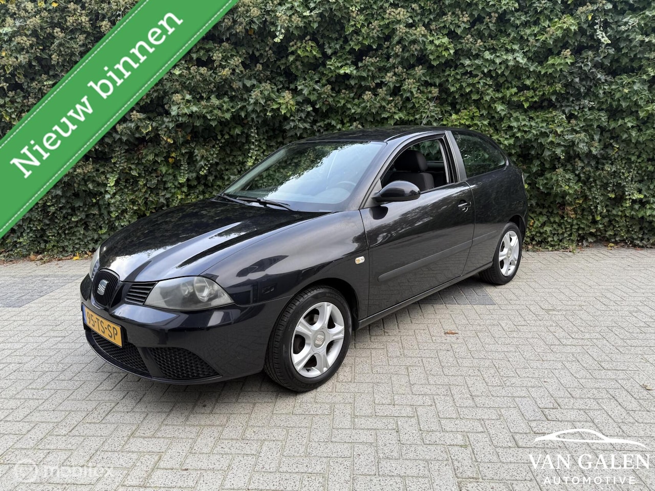 SEAT Ibiza - 1.4-16v Nieuwe D-Riem Airco|Cruise|Apk|Gr beurt! - AutoWereld.nl