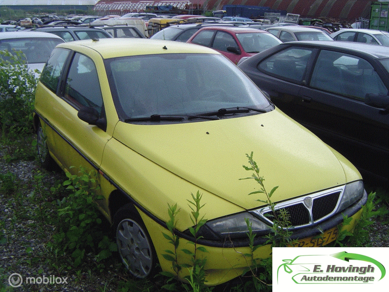 Lancia Y(psilon) - Ypsilon 1.2 LS - AutoWereld.nl