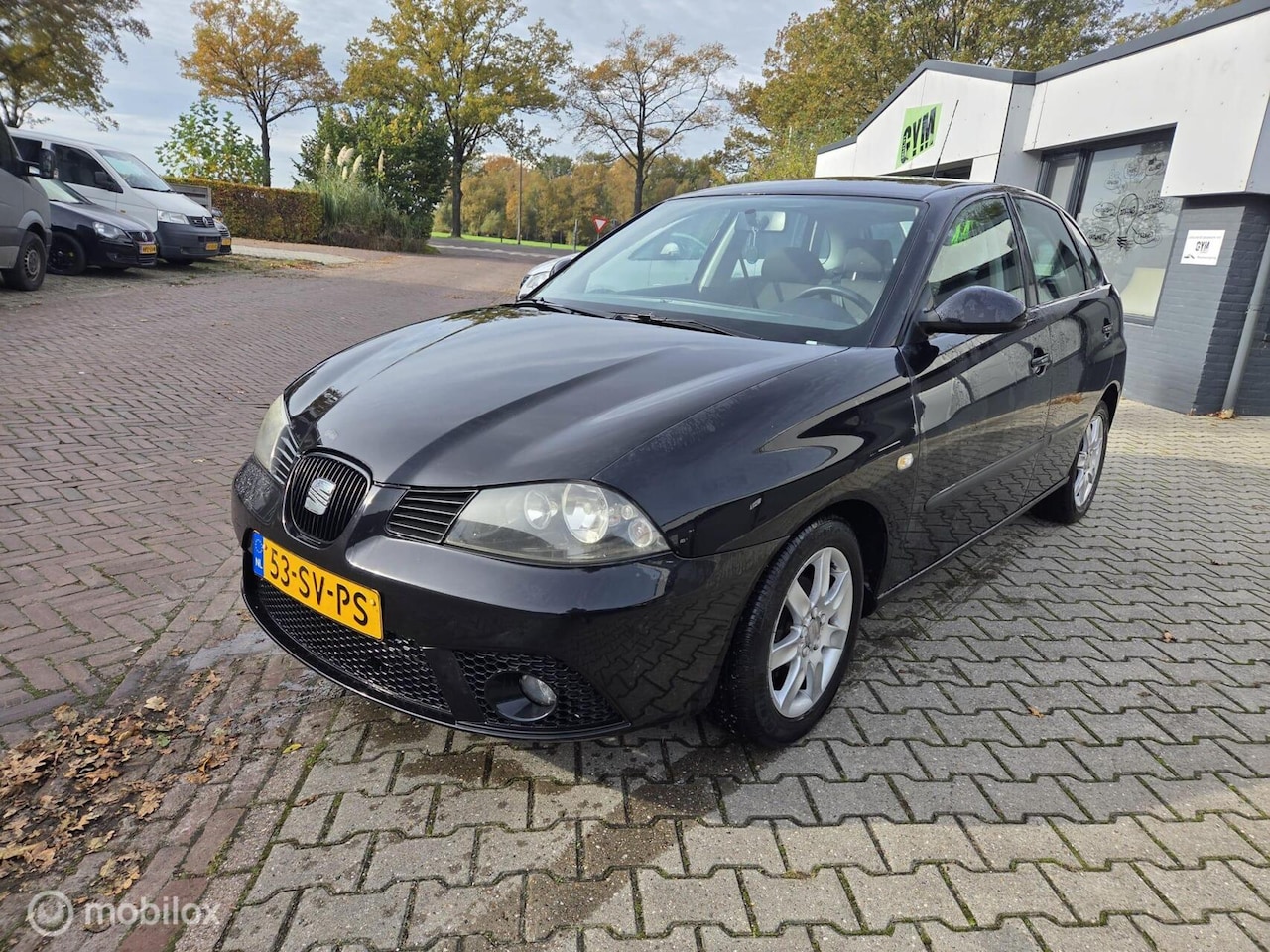 SEAT Ibiza - 1.4-16V Sensation 1.4-16V Sensation - AutoWereld.nl
