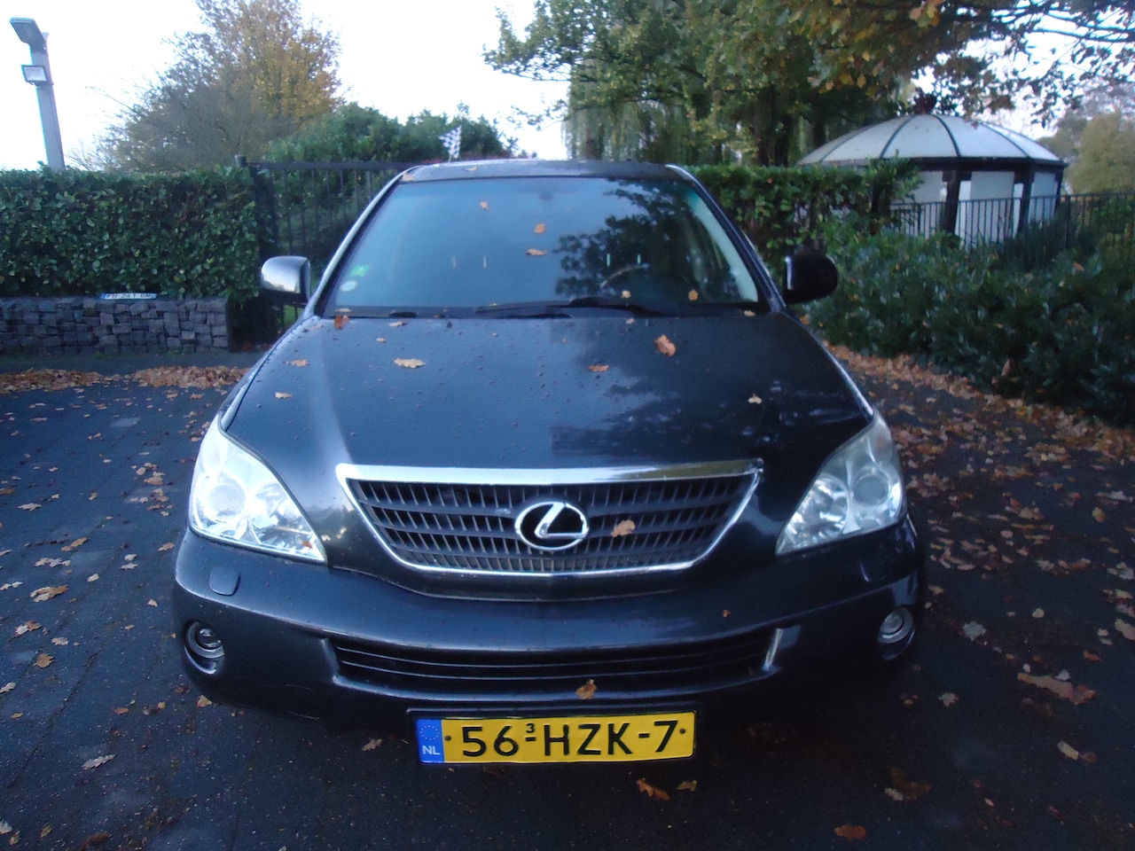 Lexus RX - 400h Executive NIEUWE APK / SCHUIFDAK