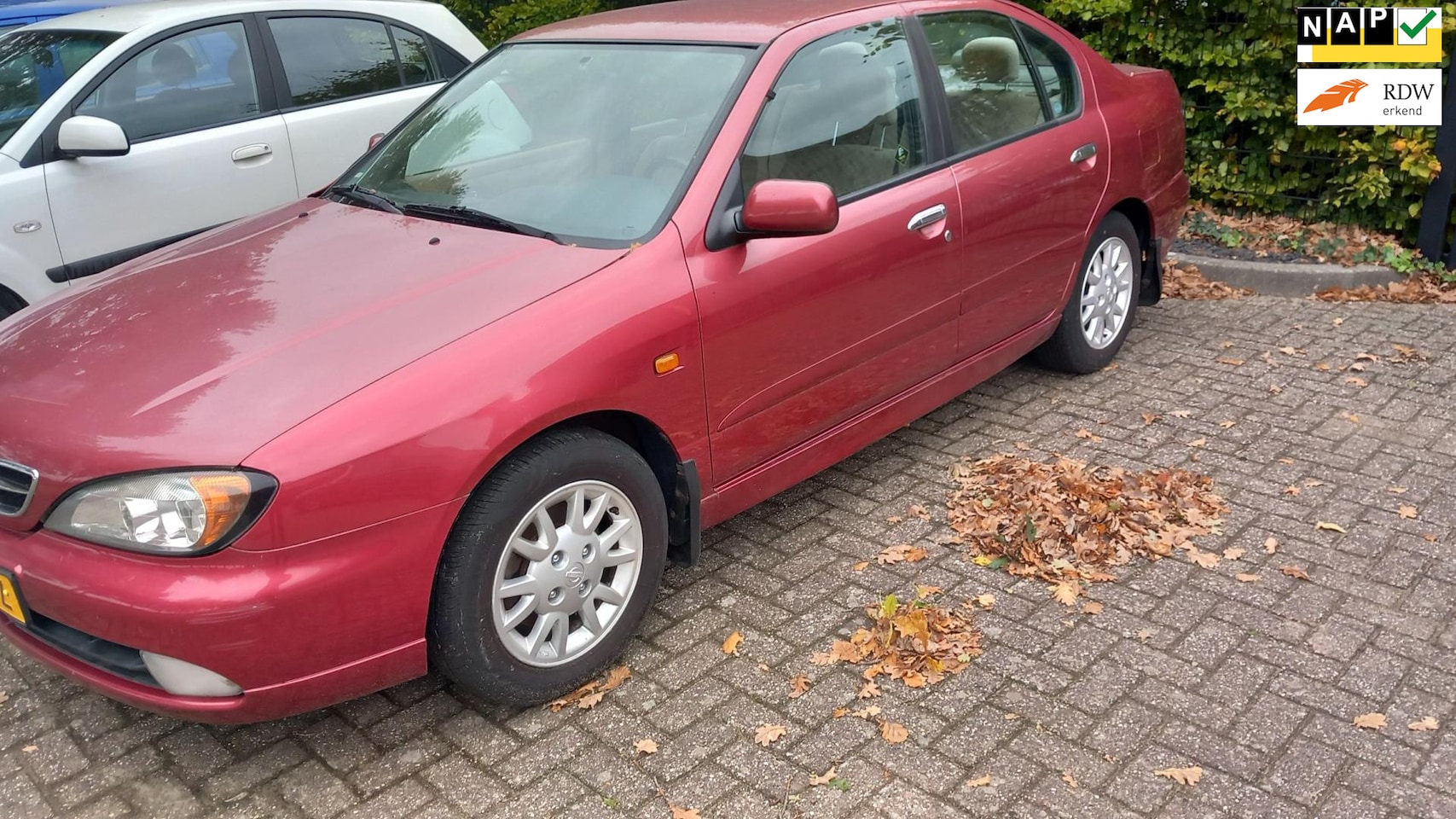Nissan Primera - 1.8 Elegance 1.8 Elegance - AutoWereld.nl