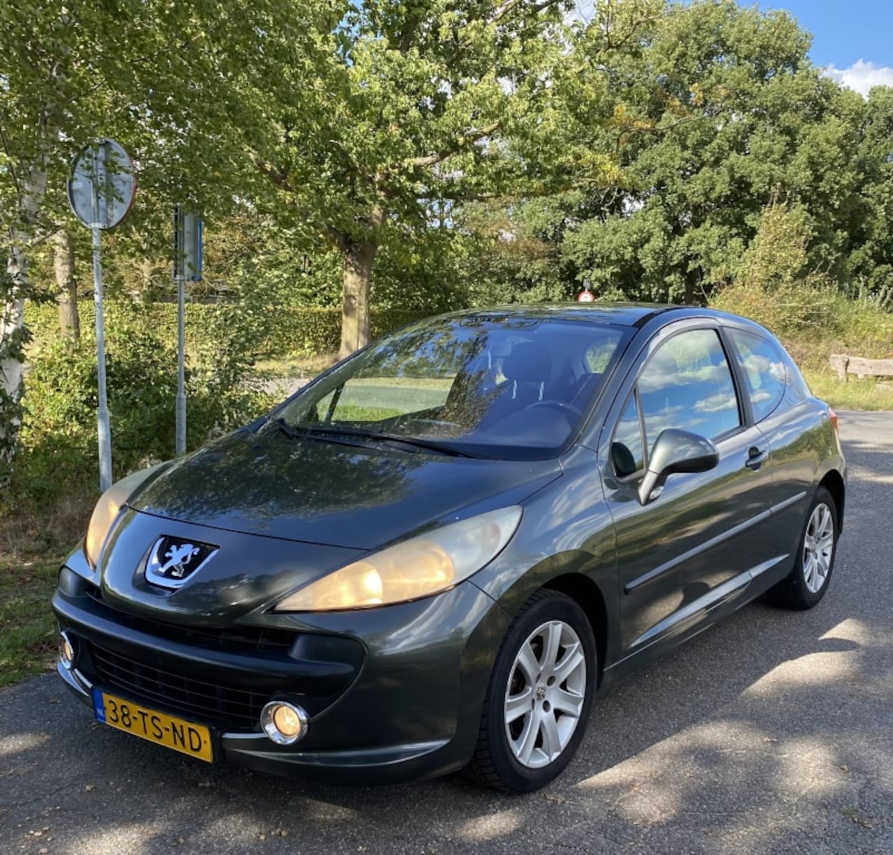 Peugeot 207 - 1.6-16V 2.0-16V XS - AutoWereld.nl