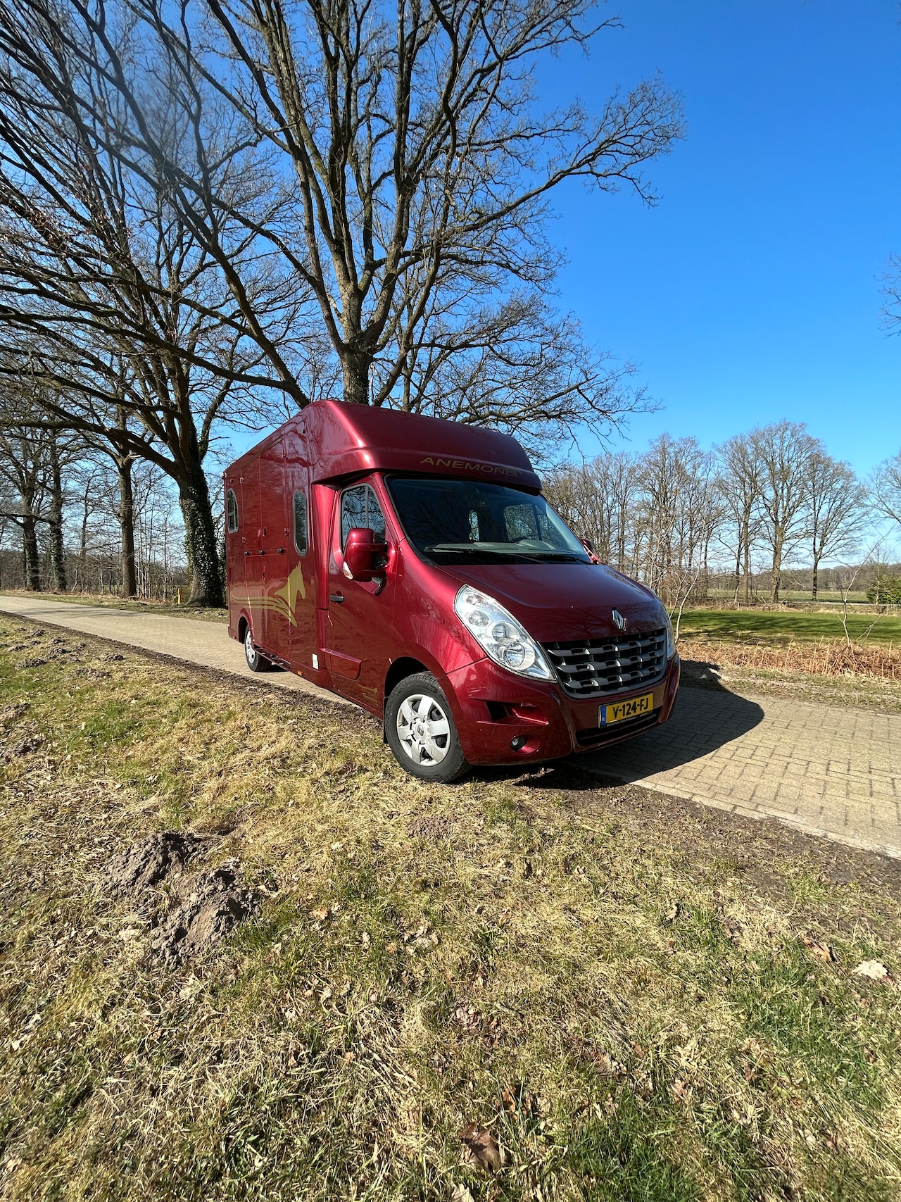Renault Master - Theault paardenwagen, automaat dubbele cabine 5 zitplaatsen - AutoWereld.nl