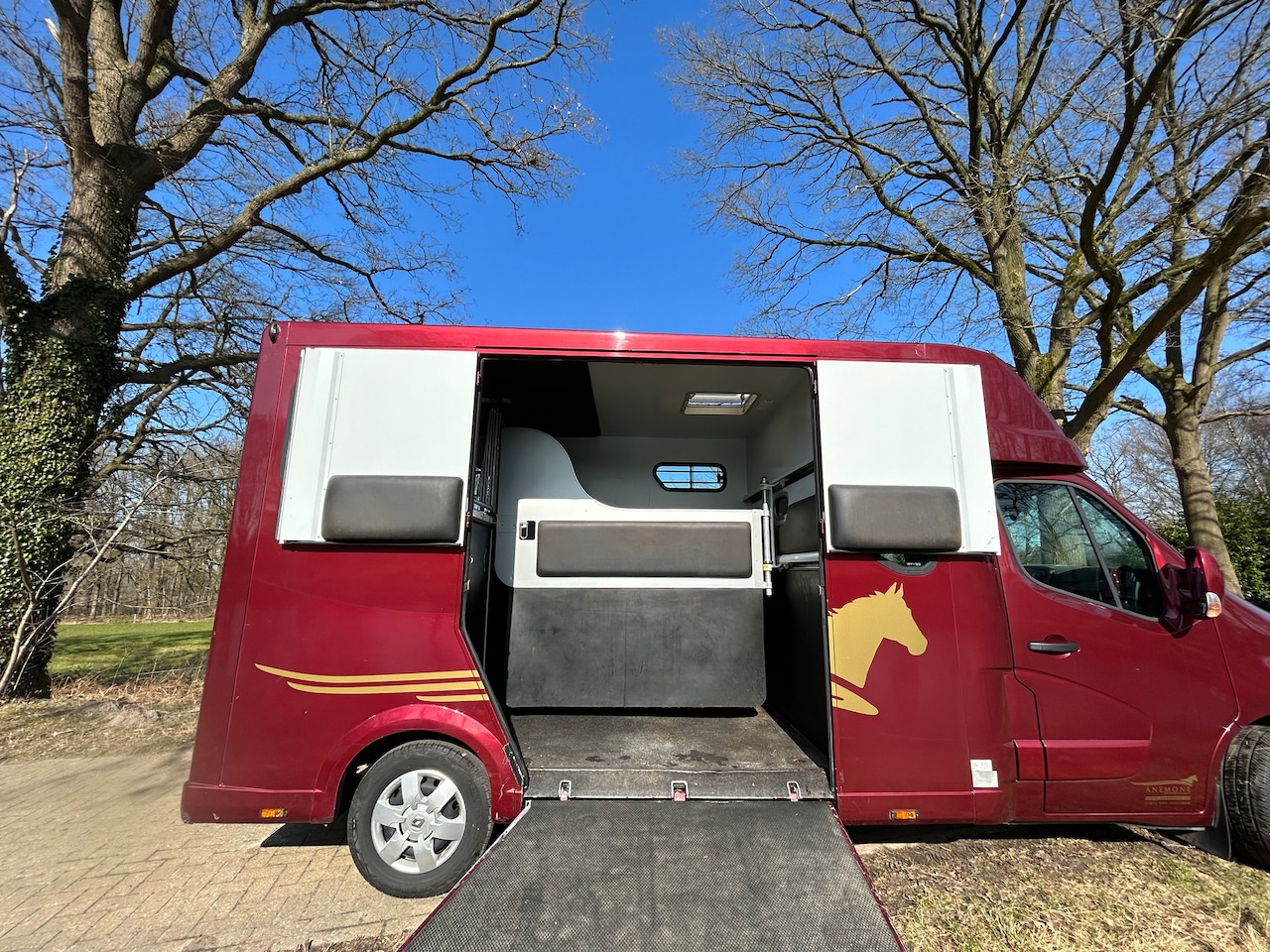 Renault Master - Theault paardenwagen, automaat dubbele cabine 5 zitplaatsen - AutoWereld.nl