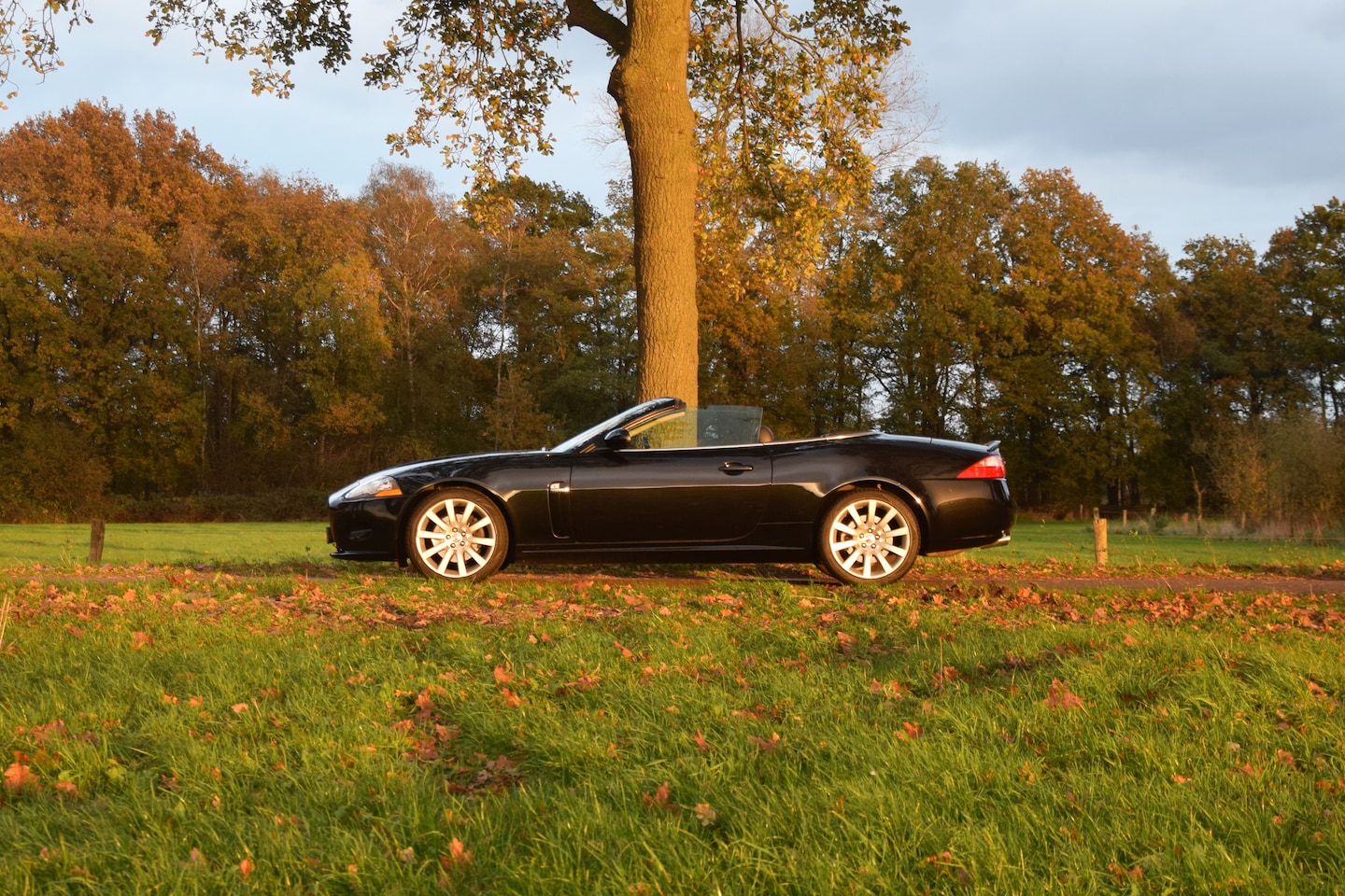 Jaguar XK - 4.2 V8 Convertible – Midnight Black – 149.586km – Y2006 - AutoWereld.nl