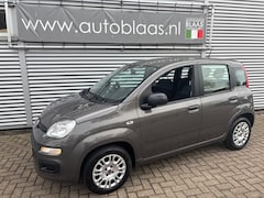 Fiat Panda - 1.2 Lounge
