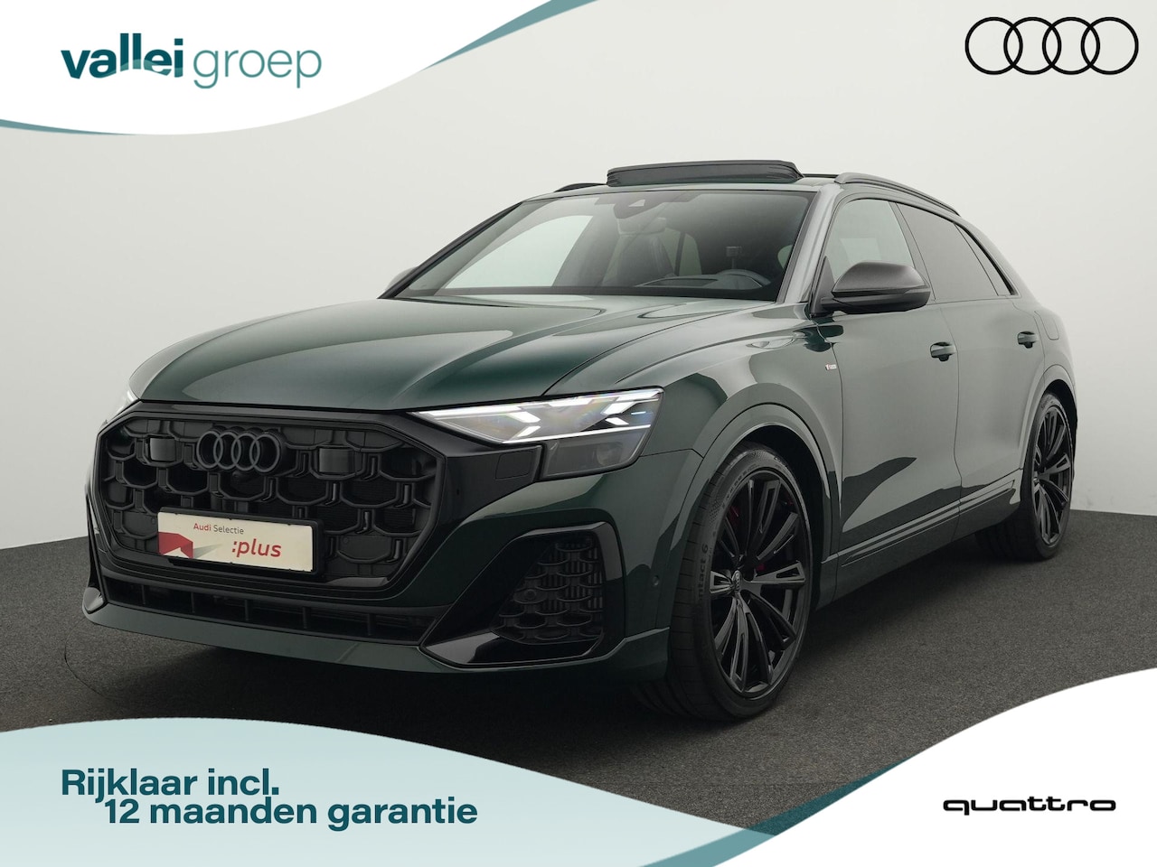 Audi Q8 - 60 TFSI e quattro Competition | Goodwood Green (Audi Exclusive) | Panoramadak | Trekhaak | - AutoWereld.nl