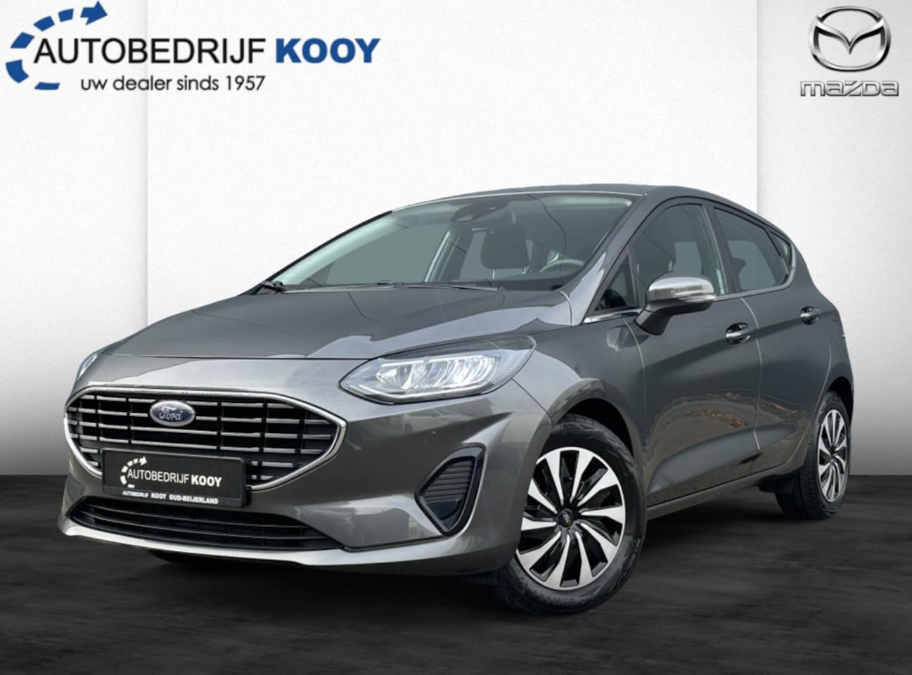 Ford Fiesta - 1.0 EcoBoost Hybrid Titanium 125pk + Winter Pack - AutoWereld.nl